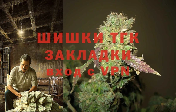 стаф Бронницы