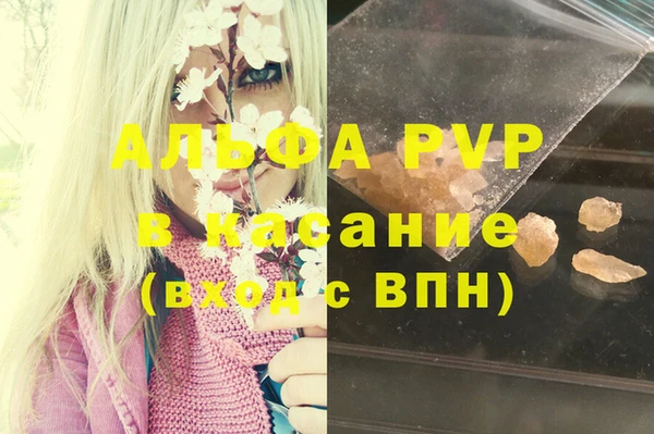 стаф Бронницы