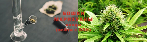 стаф Бронницы