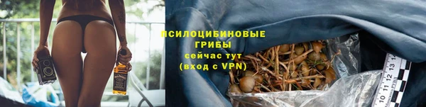 стаф Бронницы