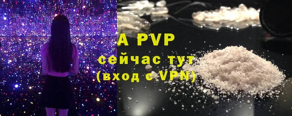 стаф Бронницы