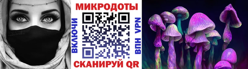 закладка  Новый Уренгой  Псилоцибиновые грибы ЛСД 